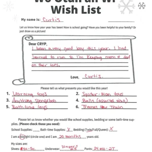 Toy drive wish list 23 for 1 year old male