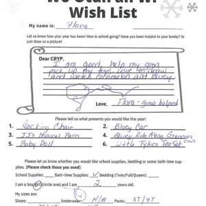 Toy drive wish list 136 for 2 year old female
