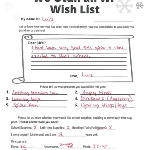 Toy drive wish list 21 for 2 year old male