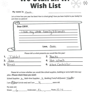 Toy drive wish list 89 for 4 year old male