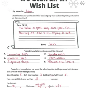 Toy drive wish list 24 for 5 year old male