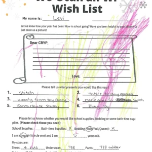 Toy drive wish list 140 for 5 year old male
