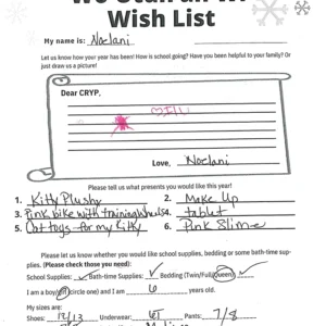 Toy drive wish list 80 for 6 year old female