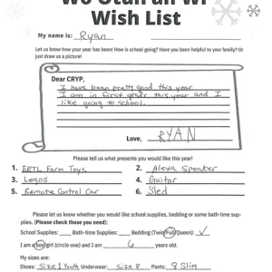 Toy drive wish list 15 for 6 year old male