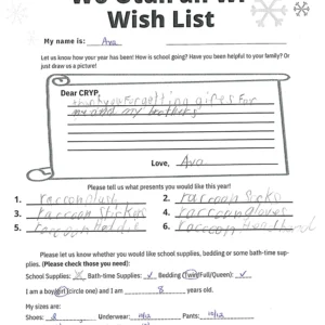 Toy drive wish list 33 for 8 year old female