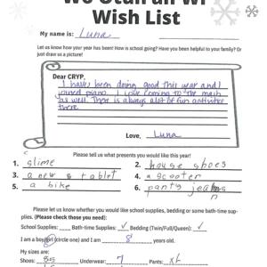 Toy drive wish list 3 for 8 year old female