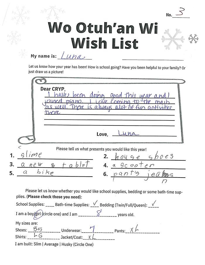 Toy drive wish list 3 for 8 year old female