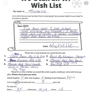 Toy drive wish list 137 for 8 year old female