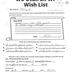 Toy drive wish list 77 for 9 year old female