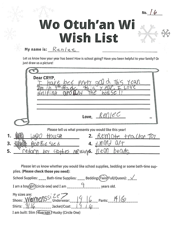Toy drive wish list 16 for 9 year old female