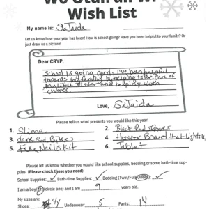 Toy drive wish list 79 for 9 year old female