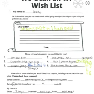 Toy drive wish list 141 for 9 year old male