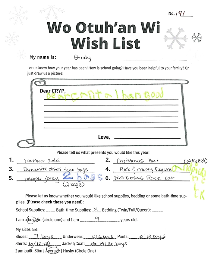 Toy drive wish list 141 for 9 year old male
