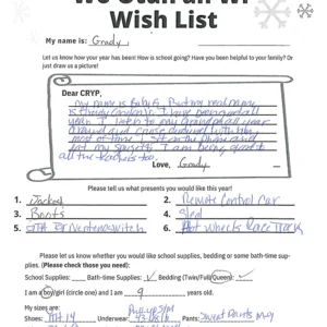 Toy drive wish list 95 for 9 year old female