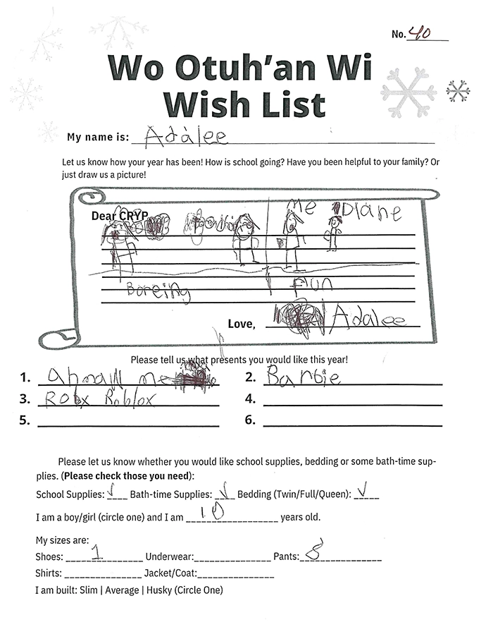 Toy drive wish list 40 for 10 year old female