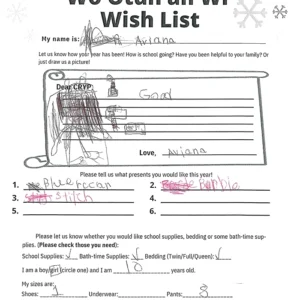 Toy drive wish list 38 for 10 year old female
