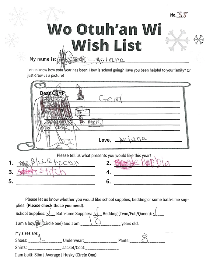 Toy drive wish list 38 for 10 year old female