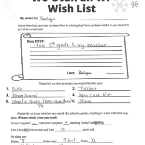 Toy drive wish list 81 for 10 year old female