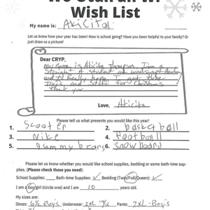 Toy drive wish list 94 for 10 year old male