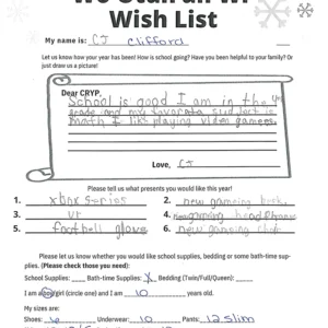 Toy drive wish list 91 for 10 year old male