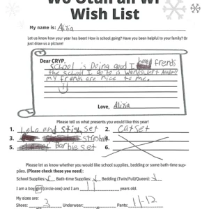 Toy drive wish list 36 for 11 year old female