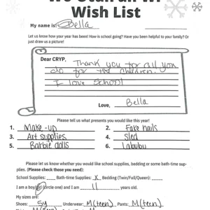 Toy drive wish list 98 for 11 year old female