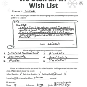 Toy drive wish list 26 for 11 year old female