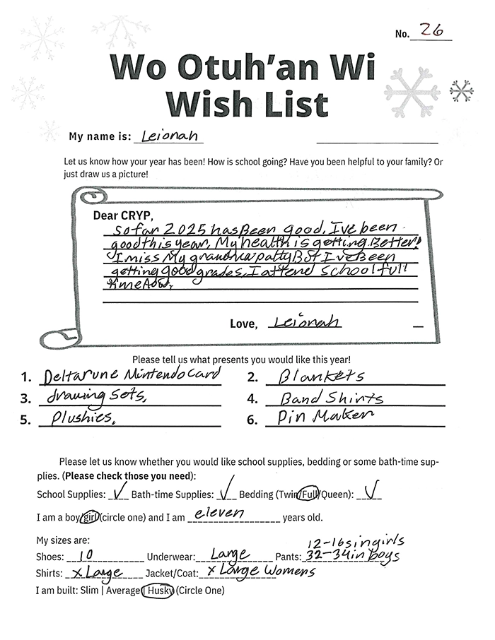 Toy drive wish list 26 for 11 year old female