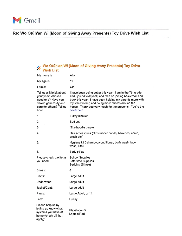 Toy drive wish list 003 for 12 year old female