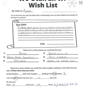 Toy drive wish list 92 for 12 year old female