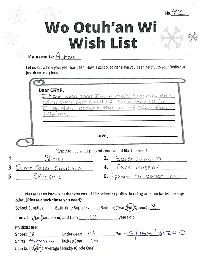 Toy drive wish list 92 for 12 year old female