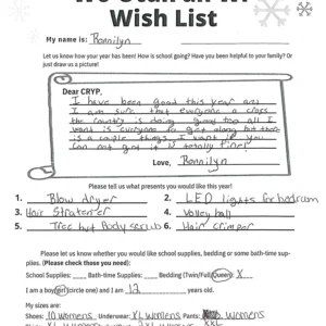 Toy drive wish list 25 for 12 year old female