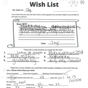 Toy drive wish list 99 for 12 year old male