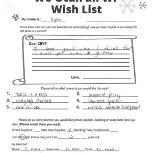 Toy drive wish list 142 for 12 year old male