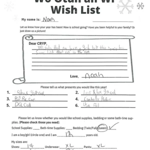 Toy drive wish list 100 for 12 year old male
