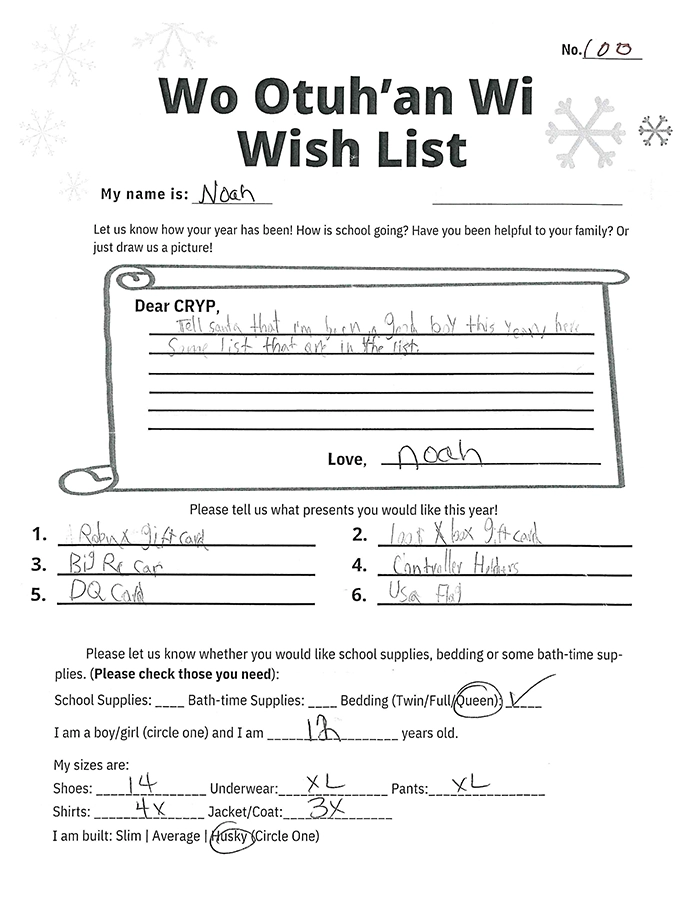 Toy drive wish list 100 for 12 year old male
