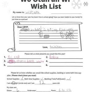 Toy drive wish list 39 for 12 year old male