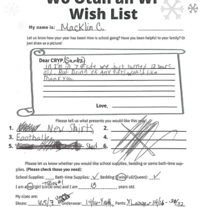 Toy drive wish list 13 for 13 year old male