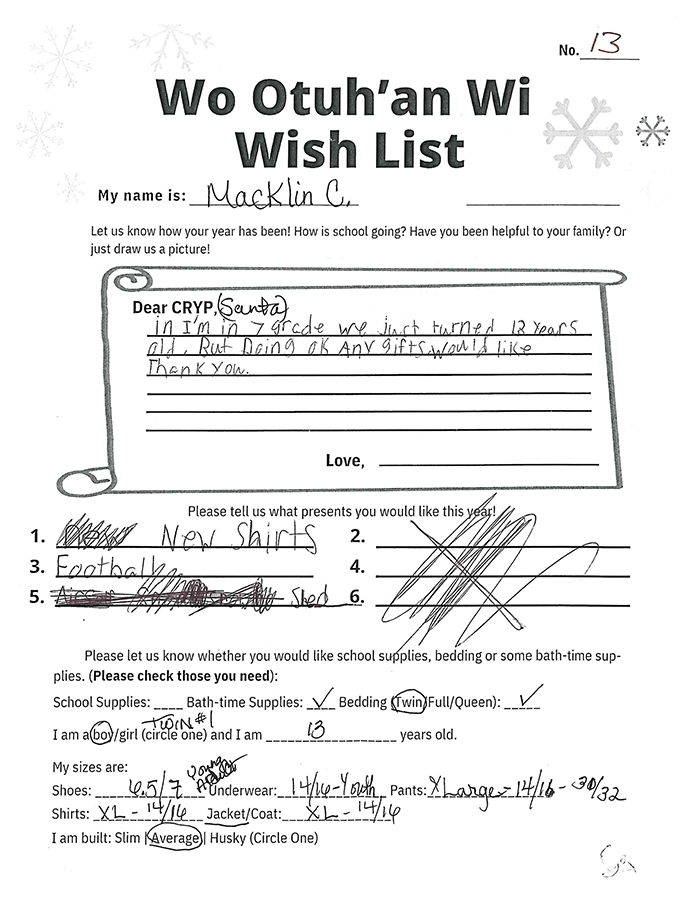 Toy drive wish list 13 for 13 year old male