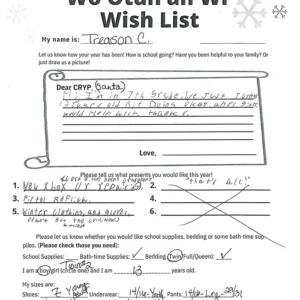 Toy drive wish list 14 for 13 year old male