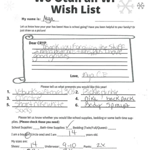 Toy drive wish list 101 for 14 year old female