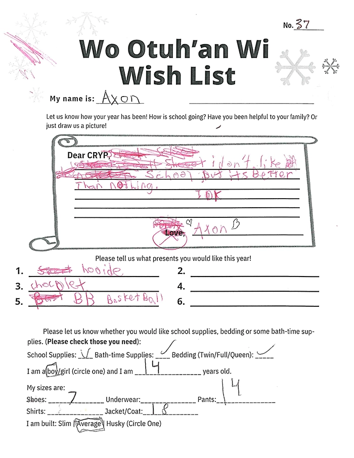 Toy drive wish list 37 for 14 year old male