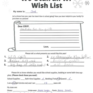 Toy drive wish list 32 for 14 year old male