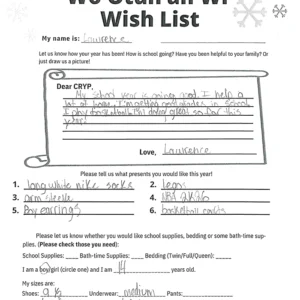 Toy drive wish list 30 for 14 year old male