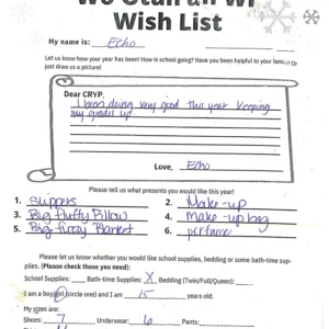 Toy drive wish list 6 for 15 year old female
