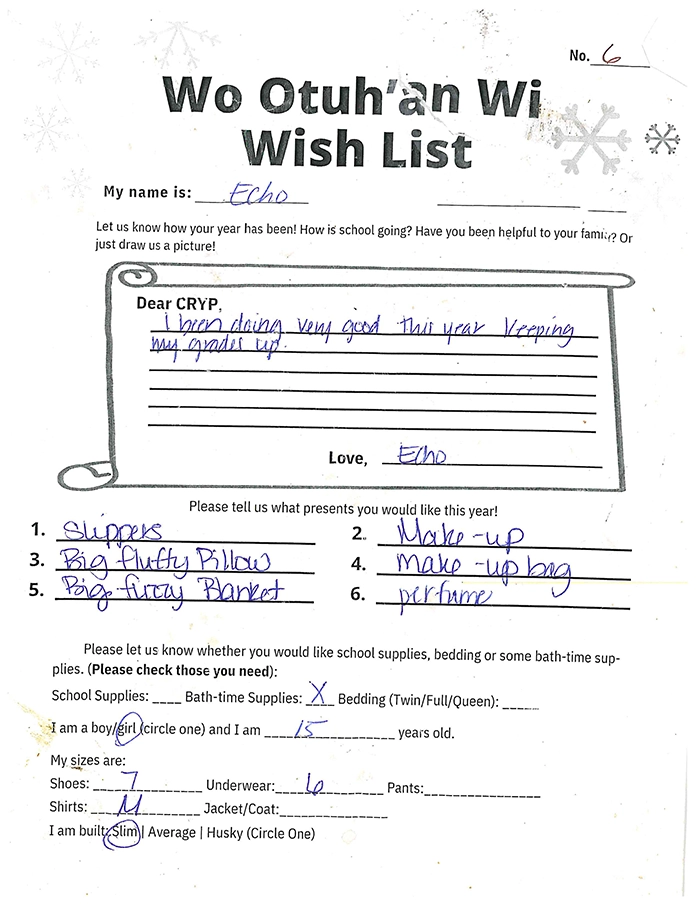 Toy drive wish list 6 for 15 year old female