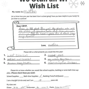 Toy drive wish list 27 for 15 year old female