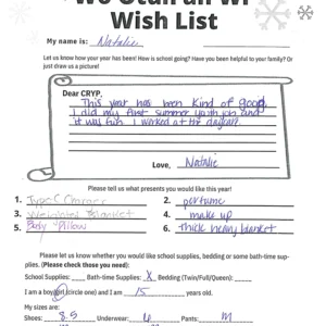 Toy drive wish list 5 for 15 year old female