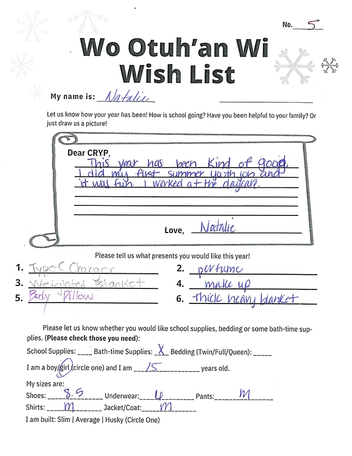Toy drive wish list 5 for 15 year old female
