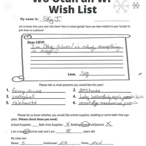 Toy drive wish list 12 for 15 year old female